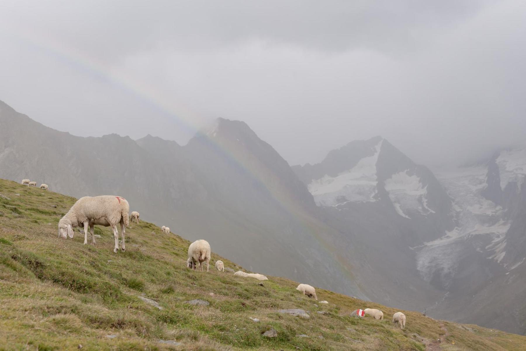 Hotel Olympia Obergurgl Eksteriør billede